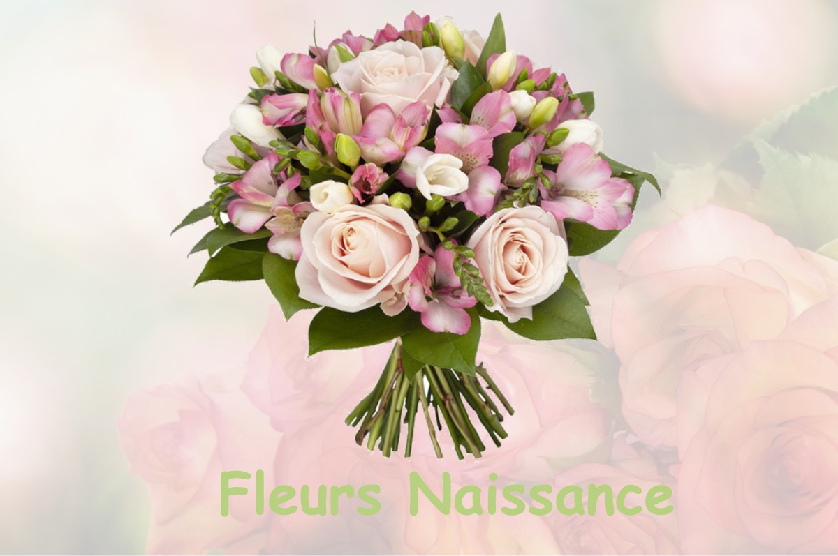 fleurs naissance APPRIEU