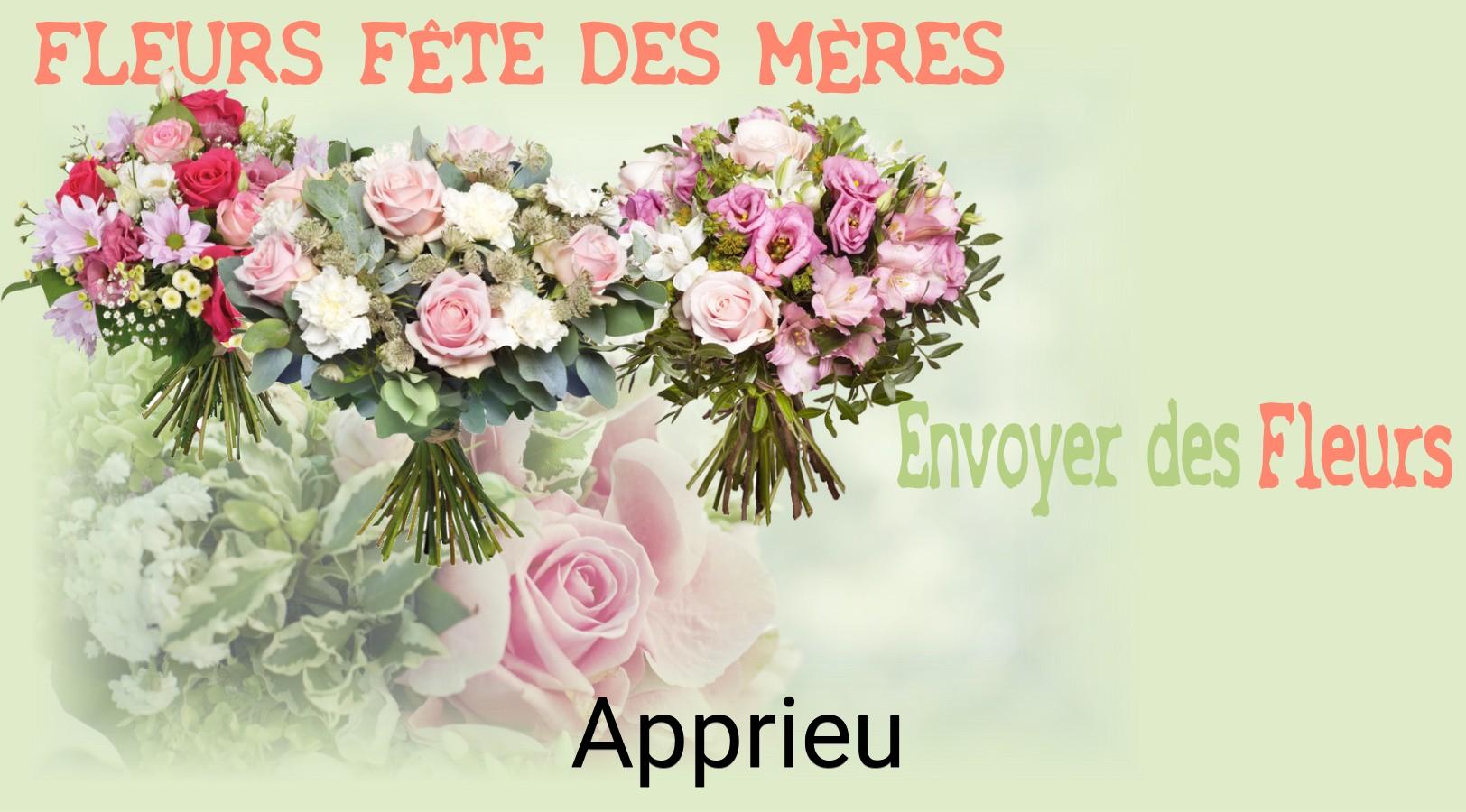 Bouquet de Fête des Mères livré à Apprieu