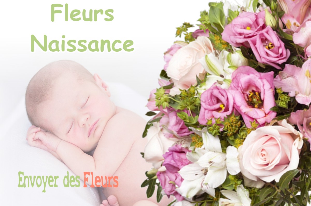 lIVRAISON FLEURS NAISSANCE à APPRIEU